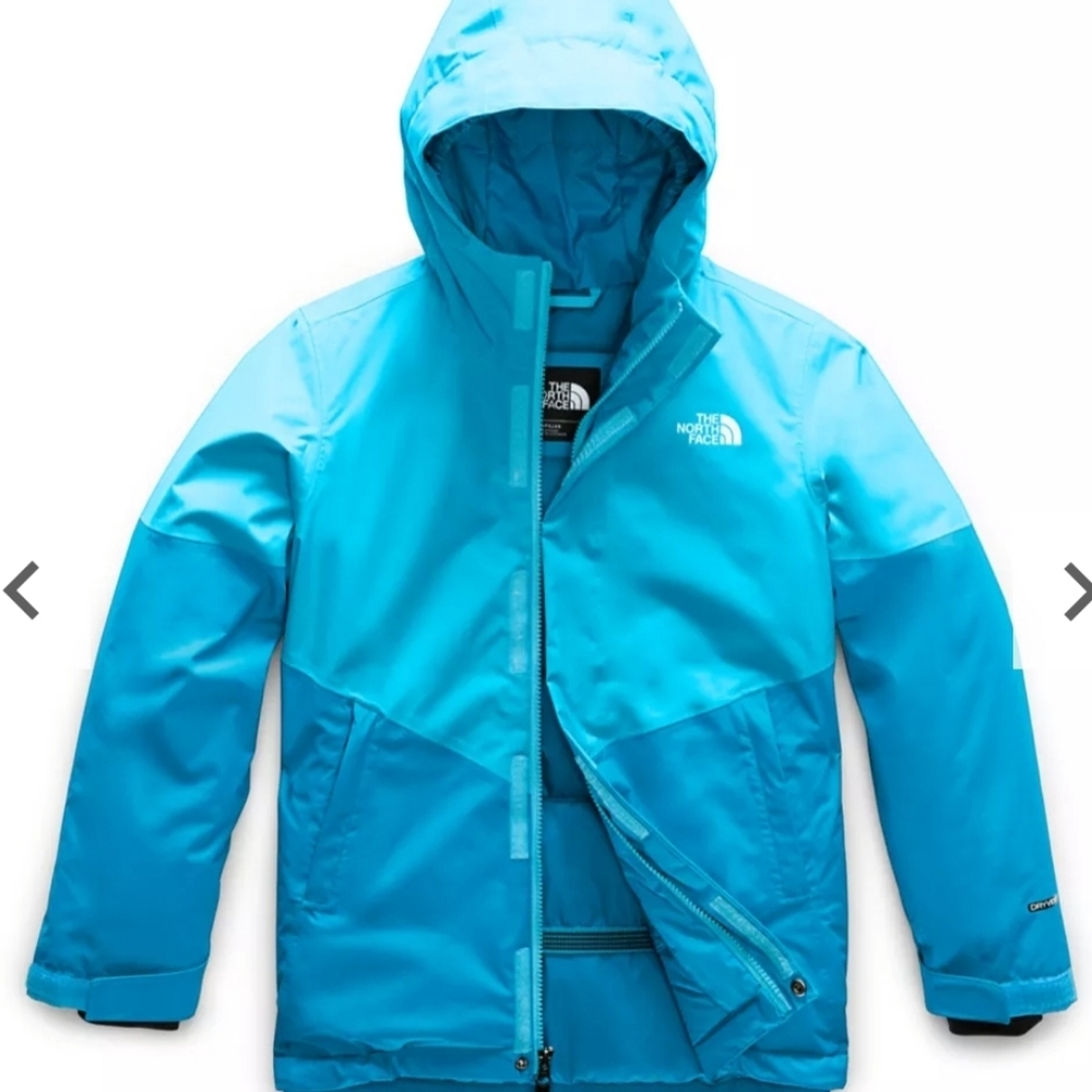 The north face coat